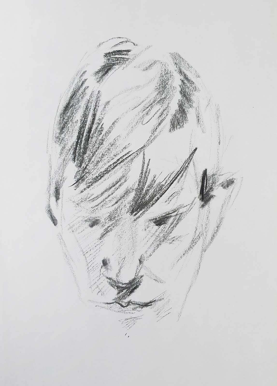 sketches 2023 by Vera den Arend - charcoal on paper - A4
