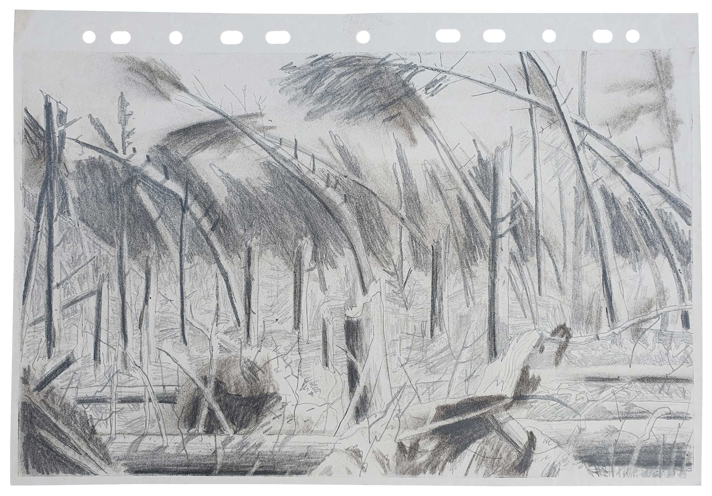 Sketch 2024 by Vera den Arend - pencil and charcoal - A4 