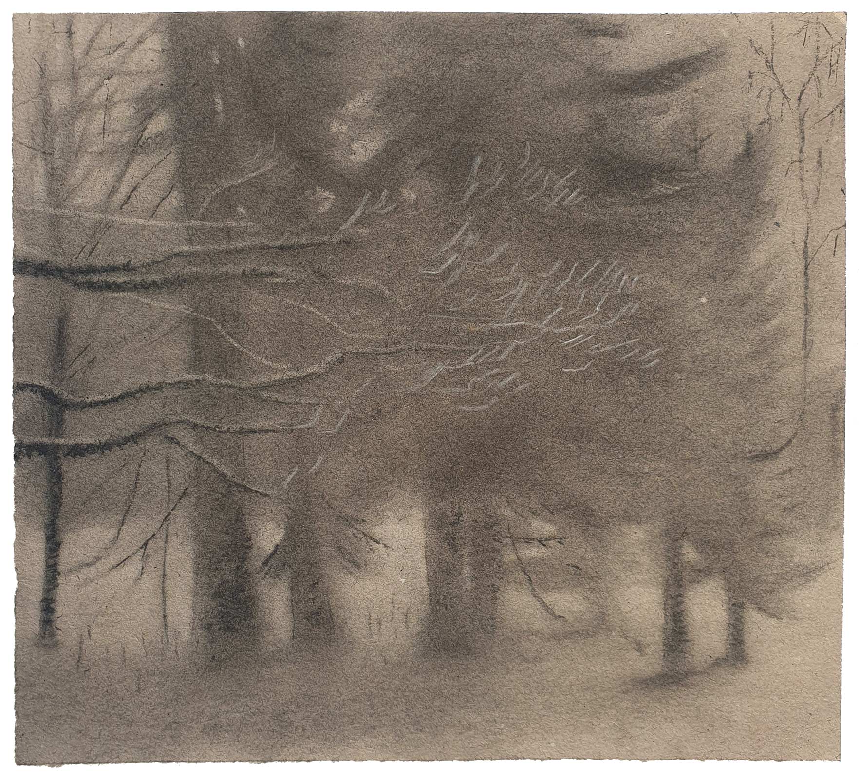 Sketch 2024 by Vera den Arend - charcoal and colored pencil - 20x22cm