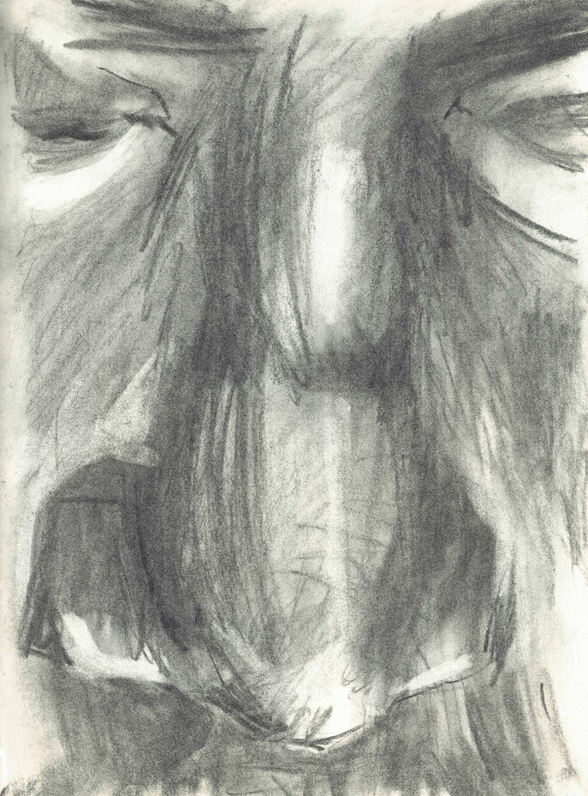 Sketch 2024 by Vera den Arend - charcoal - 17x23cm